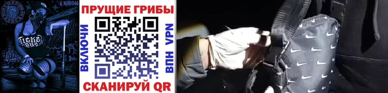 Псилоцибиновые грибы MAGIC MUSHROOMS  Купить закладки  Электрогорск 